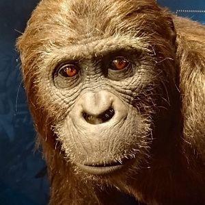 Meet your Posher, Darla